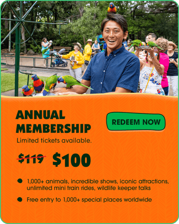 CWS Annual Membership