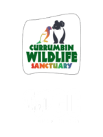 CWS x LoveGC Logos - Mobile